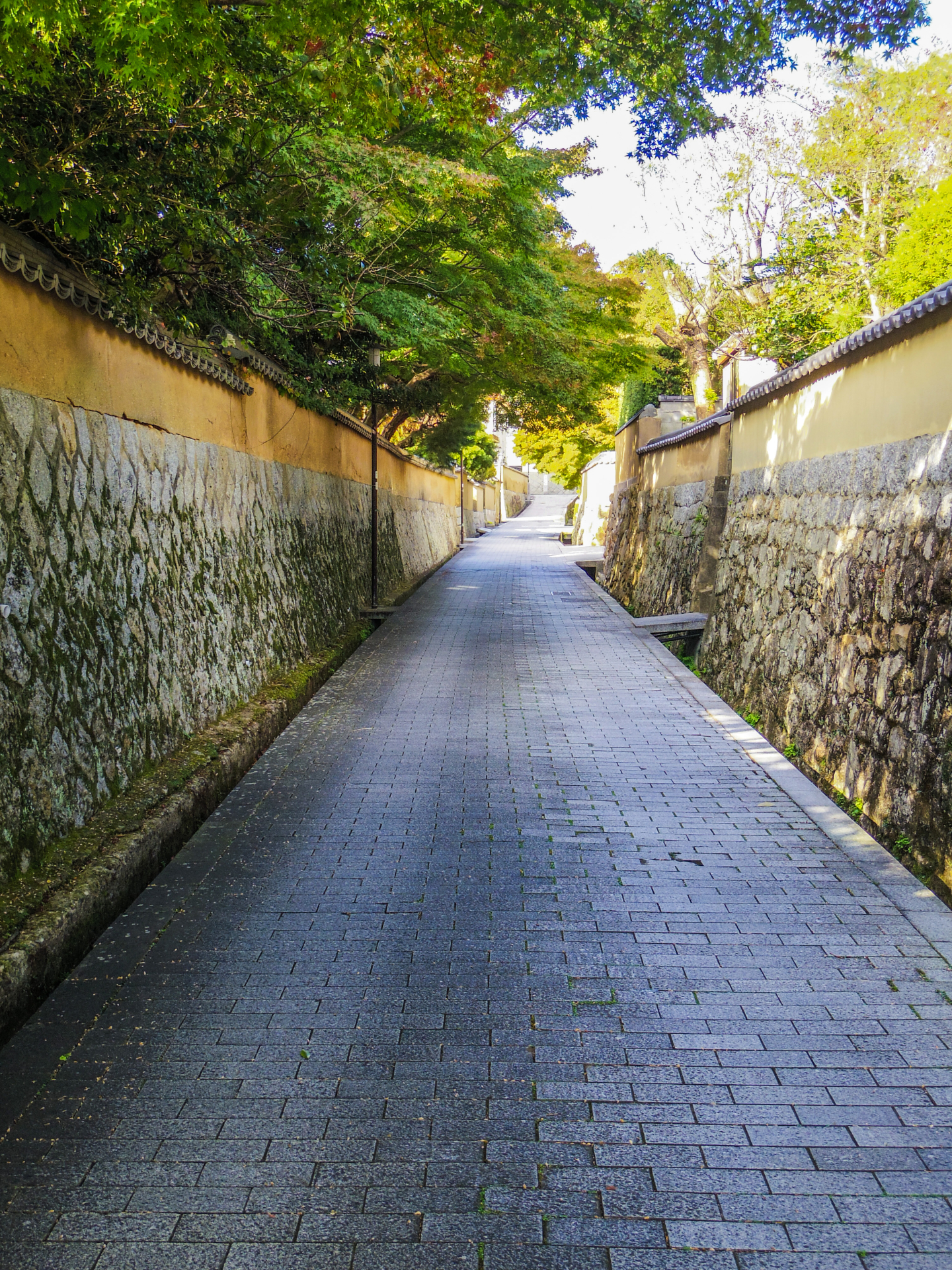 テスト